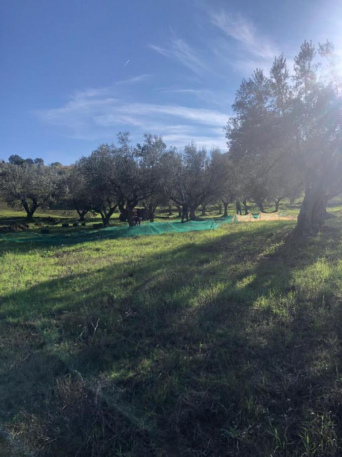 B&B La Casa Di Giuliana Cermignano 외부 사진
