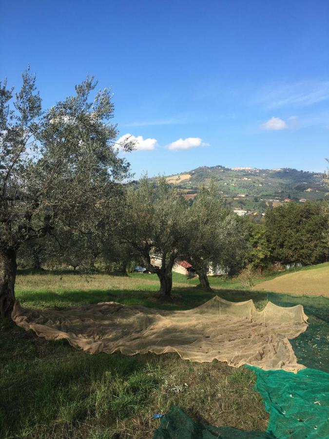 B&B La Casa Di Giuliana Cermignano 외부 사진