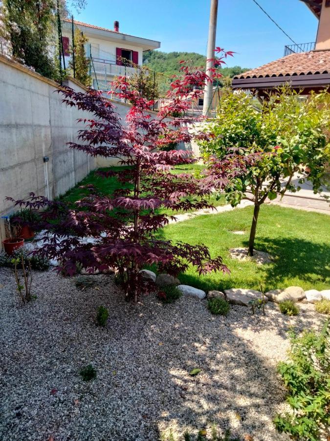 B&B La Casa Di Giuliana Cermignano 외부 사진