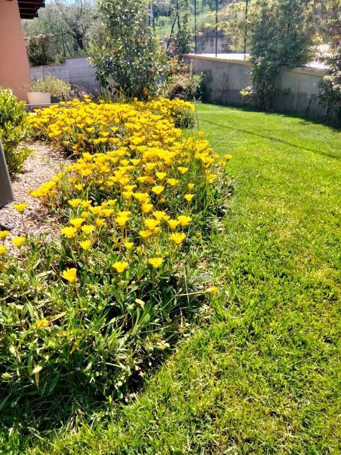 B&B La Casa Di Giuliana Cermignano 외부 사진