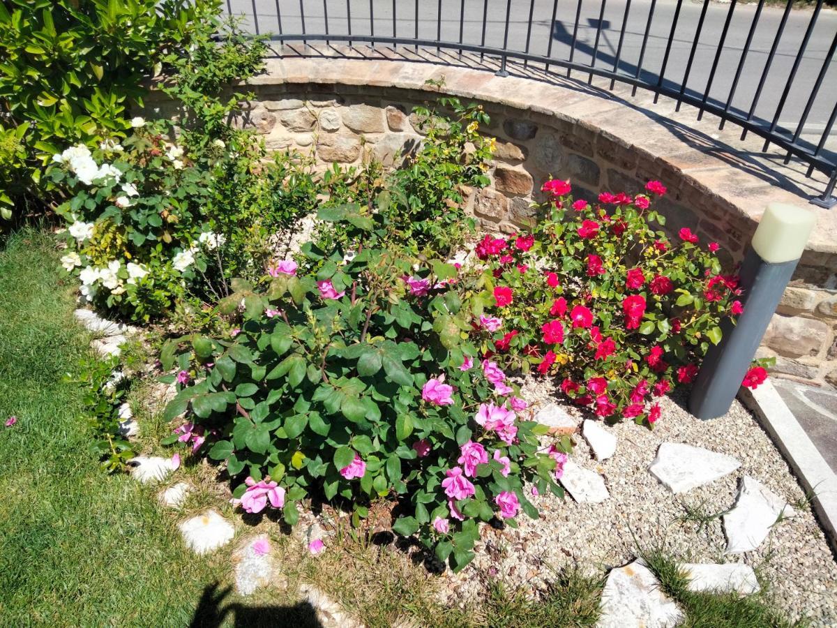 B&B La Casa Di Giuliana Cermignano 외부 사진