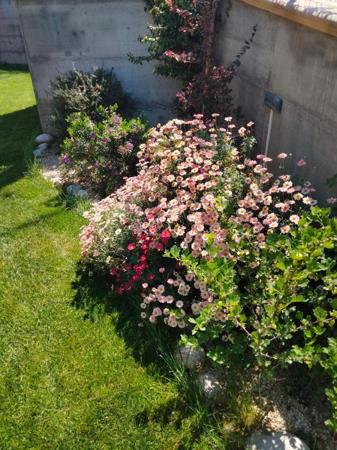 B&B La Casa Di Giuliana Cermignano 외부 사진